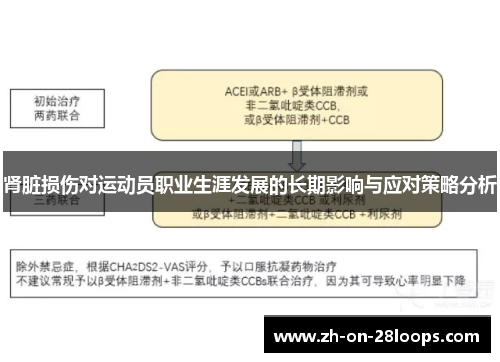 肾脏损伤对运动员职业生涯发展的长期影响与应对策略分析