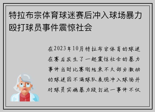 特拉布宗体育球迷赛后冲入球场暴力殴打球员事件震惊社会